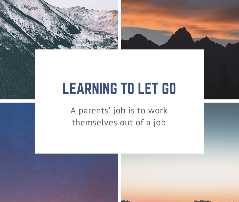 Learning To Let Go